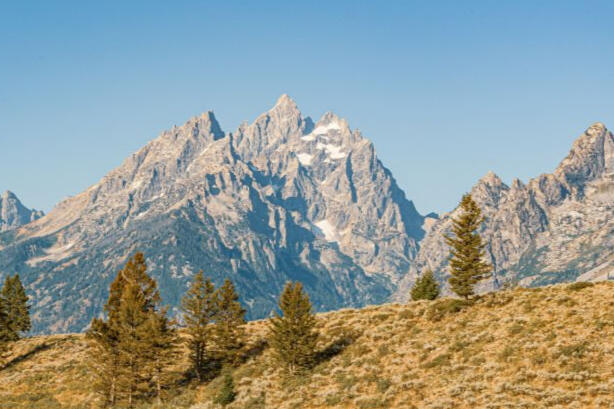 Frontier Filings, LLC Wyoming annual report filings, reinstatement, dissolution, and registered agent services.